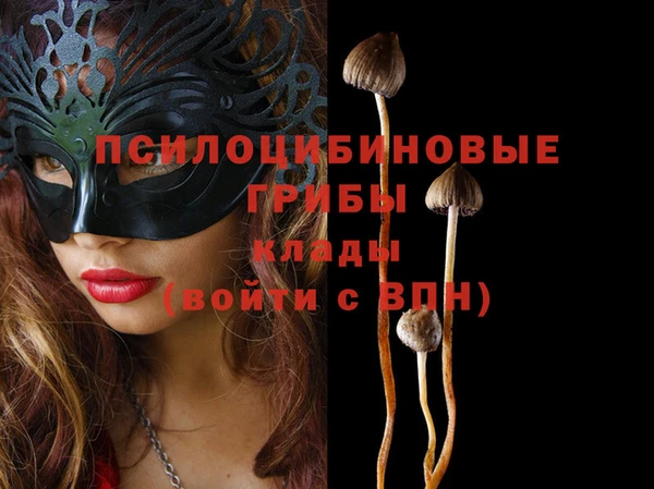 дурь Аркадак